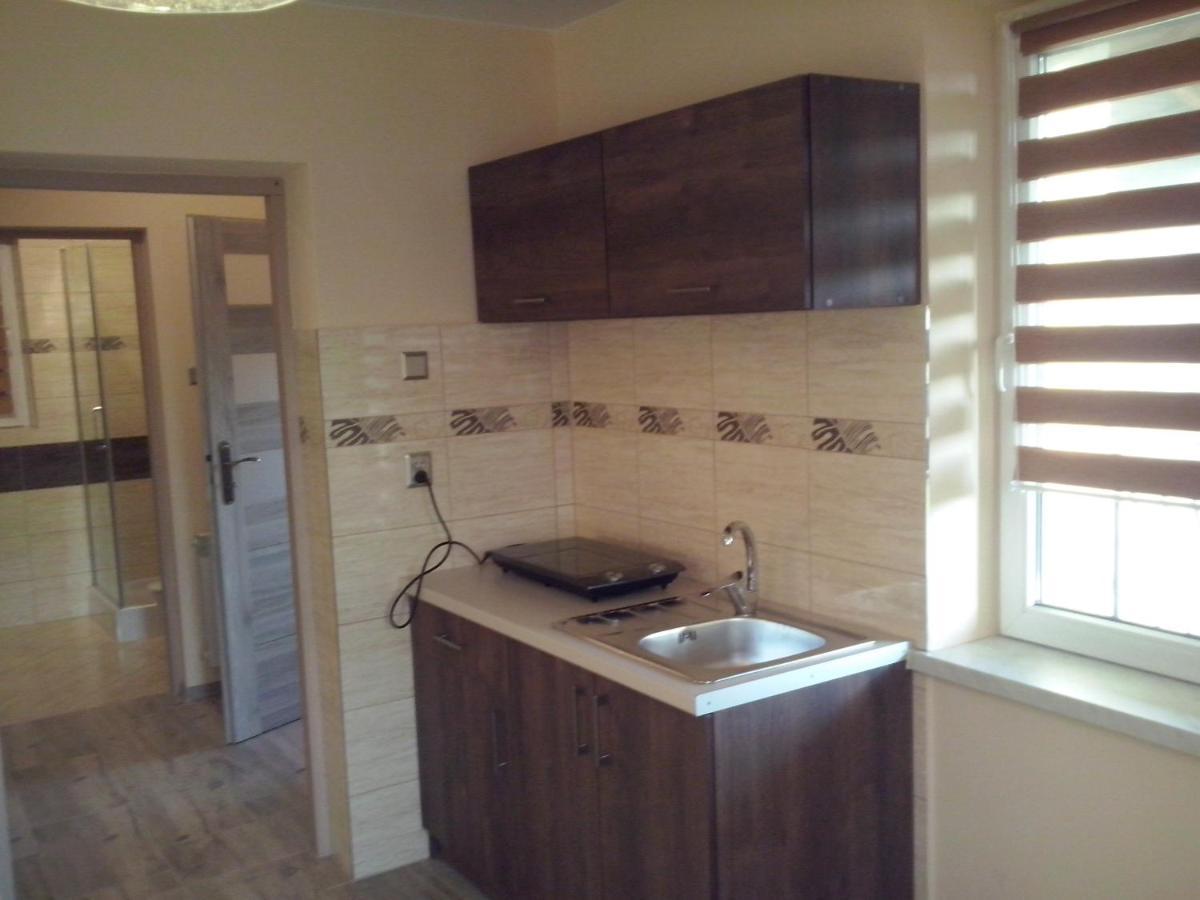 Apartament Orlik Tylicz Εξωτερικό φωτογραφία